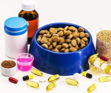 The Role of Supplements in Your Pet's Health