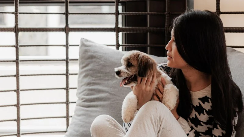 How to Help Your Pet Cope with New Stressful Situations