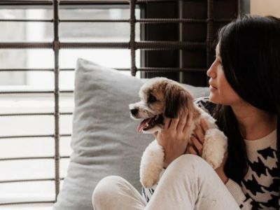 How to Help Your Pet Cope with New Stressful Situations