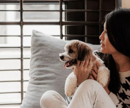 How to Help Your Pet Cope with New Stressful Situations