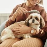 How to Manage Pet Stress: Tips for a Calmer Pet