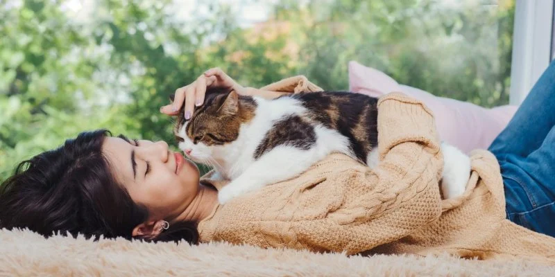 How to Provide Comfort for Pets in Their Final Days: A Guide to Easing Their Journey