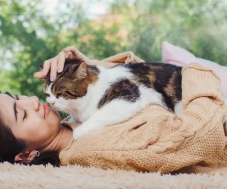 How to Provide Comfort for Pets in Their Final Days: A Guide to Easing Their Journey