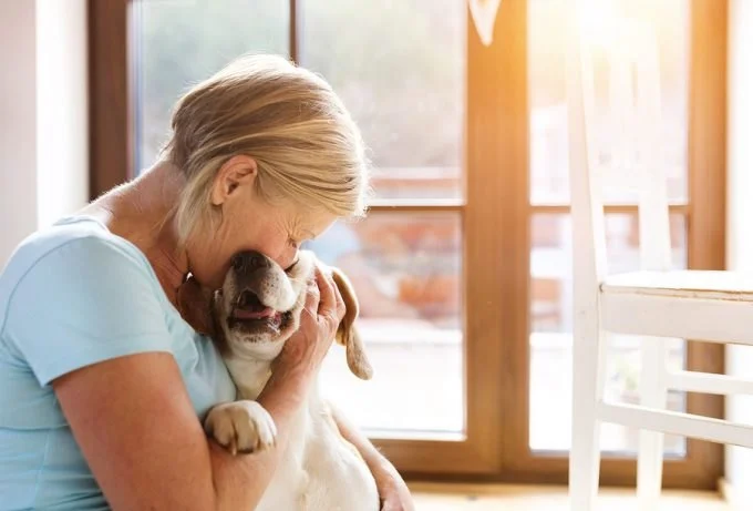 How to Provide Comfort and Care for Your Pet During Illness: Essential Tips for Pet Owners