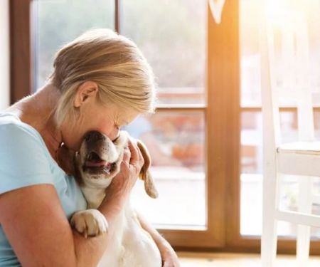 How to Provide Comfort and Care for Your Pet During Illness: Essential Tips for Pet Owners