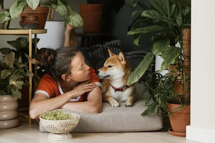 How to Create a Pet-Friendly Home for Your Furry Friends