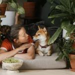 How to Create a Pet-Friendly Home for Your Furry Friends