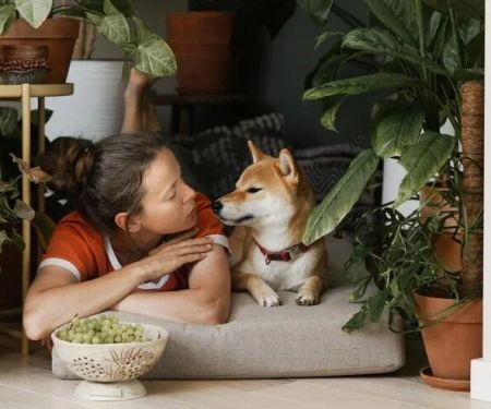 How to Create a Pet-Friendly Home for Your Furry Friends