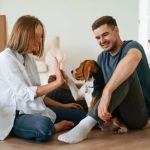 How to Manage Your Pet's Stress and Anxiety Levels: Effective Tips and Strategies