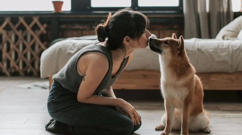 How to Help Your Pet Cope with Separation from You