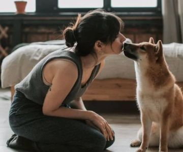 How to Help Your Pet Cope with Separation from You