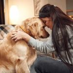 How to Help Your Pet Adjust to Life After Losing a Companion