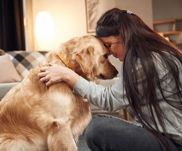 How to Help Your Pet Adjust to Life After Losing a Companion