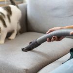 How to Prevent and Treat Giardia in Pets