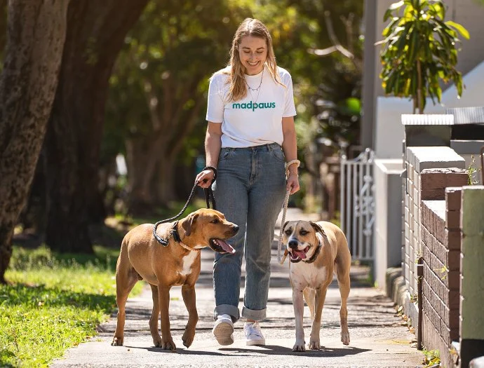 The Importance of Regular Exercise for Senior Pets