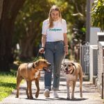 The Importance of Regular Exercise for Senior Pets