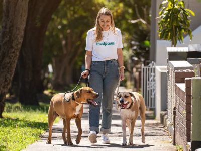 The Importance of Regular Exercise for Senior Pets