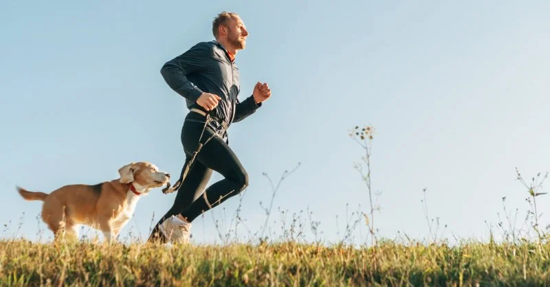 The Benefits of Regular Exercise for Your Pet's Physical and Mental Health