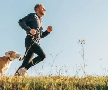 The Benefits of Regular Exercise for Your Pet's Physical and Mental Health