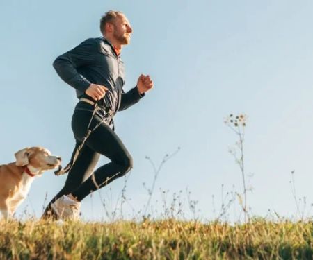 The Benefits of Regular Exercise for Your Pet's Physical and Mental Health