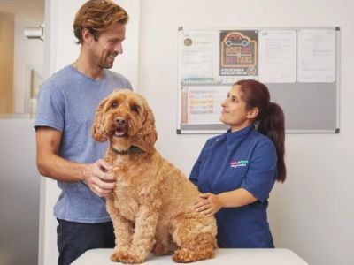 How to Manage Your Pet’s Health with the Right Supplements