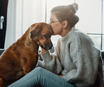 How to Handle Pet Loss: Coping Strategies for Grieving Pet Owners
