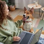 How to Choose the Right Pet Insurance Plan | Brothers Pets