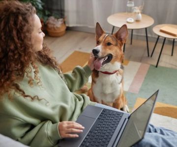 How to Choose the Right Pet Insurance Plan | Brothers Pets