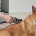 Understanding Pet Grooming Tools: What You Need for Effective Care