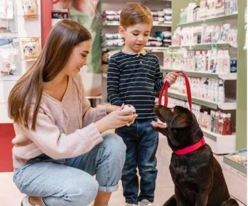 How to Choose the Right Pet Products for Your Pet's Needs