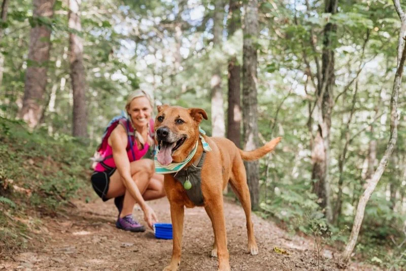 How to Ensure Your Pet’s Safety During Outdoor Adventures