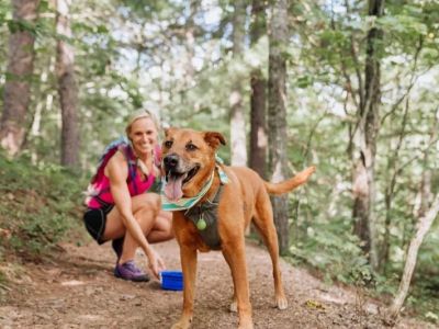 How to Ensure Your Pet’s Safety During Outdoor Adventures