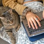 How to Properly Handle and Manage Pet Health Records – A Complete Guide