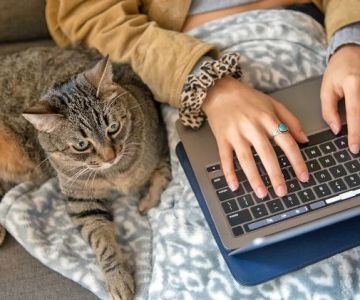 How to Properly Handle and Manage Pet Health Records – A Complete Guide