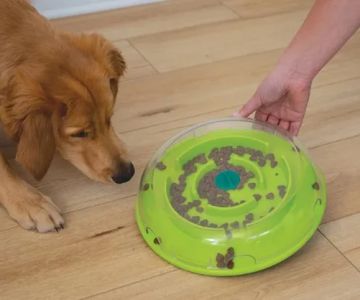 How to Choose the Best Pet Toys for Mental and Physical Health | Tips for Pet Owners