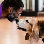 How to Build a Strong Bond with Your Pet: Tips for New Pet Owners