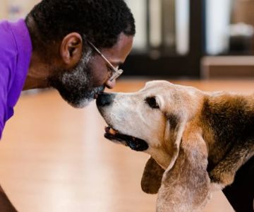 How to Build a Strong Bond with Your Pet: Tips for New Pet Owners