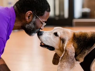 How to Build a Strong Bond with Your Pet: Tips for New Pet Owners