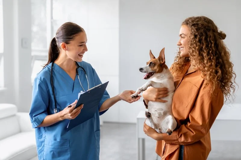 The Importance of Regular Vet Visits for Your Pet