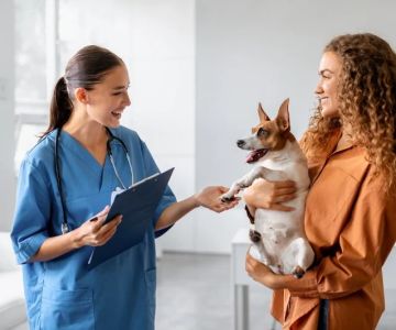 The Importance of Regular Vet Visits for Your Pet