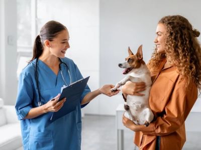 The Importance of Regular Vet Visits for Your Pet