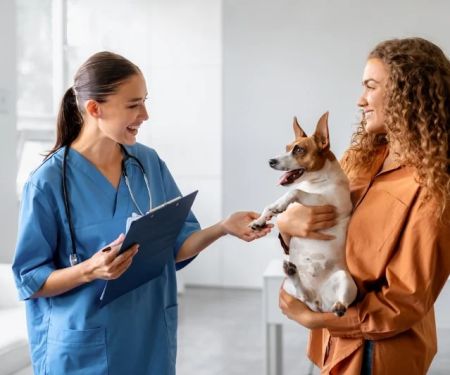 The Importance of Regular Vet Visits for Your Pet
