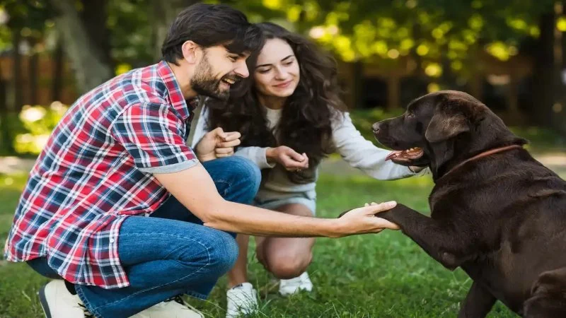 How to Help Your Pet Adjust to New Family Members