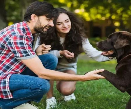 How to Help Your Pet Adjust to New Family Members