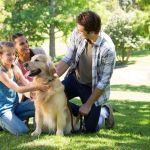 How to Train Your Pet for Positive Socialization