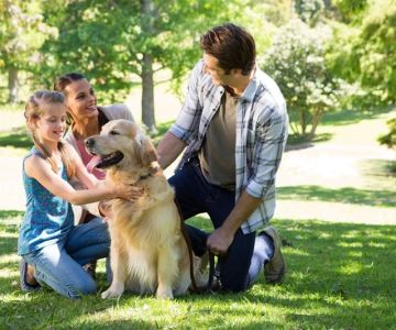 How to Train Your Pet for Positive Socialization