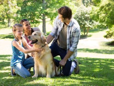 How to Train Your Pet for Positive Socialization