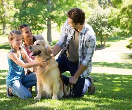 How to Train Your Pet for Positive Socialization