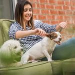 How to Create a Pet-Friendly Environment at Home – Essential Tips for Your Furry Friends
