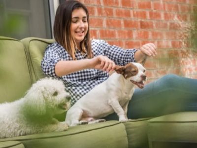How to Create a Pet-Friendly Environment at Home – Essential Tips for Your Furry Friends